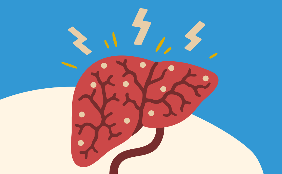 イメージ画像：日本人と脂肪肝