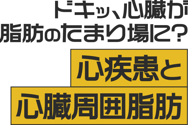 ドキッ、心臓が脂肪のたまり場に？心疾患と心臓周囲脂肪