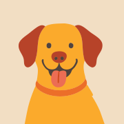 イメージ画像：犬