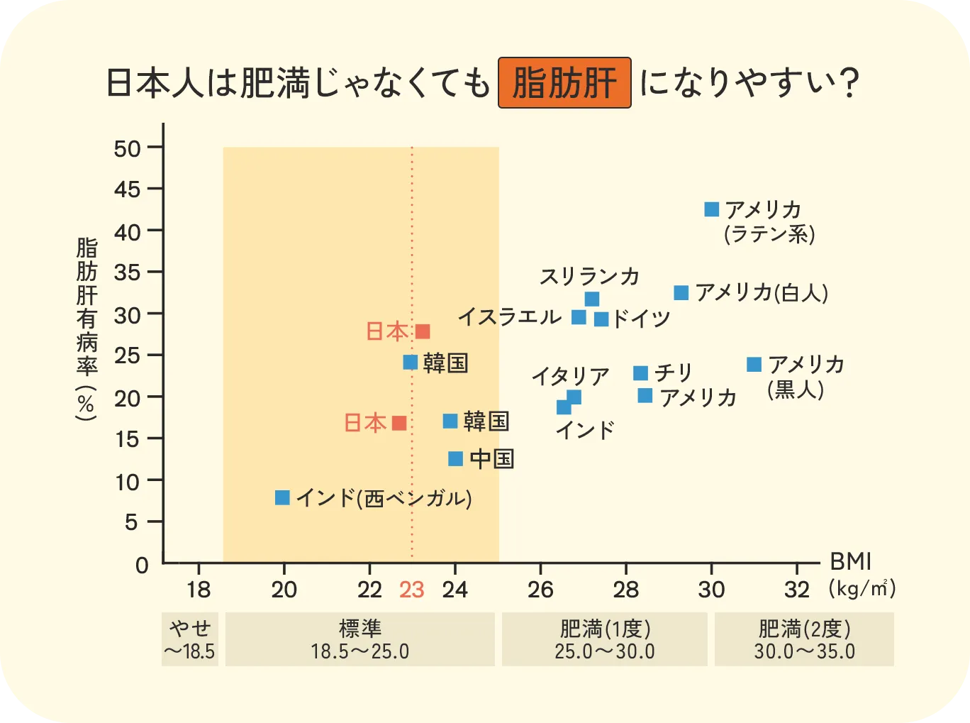 各国のBMIと脂肪肝有病率の関係を示すグラフ：日本は標準体重範囲にあるにも関わらず脂肪肝有病率が高く、肥満でなくても脂肪肝になりやすい体質であることを示すデータ