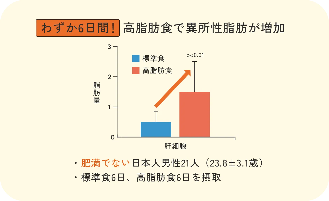 高脂肪食による異所性脂肪増加のグラフ：肥満でない日本人男性21人を対象に6日間の高脂肪食摂取で肝細胞の脂肪量が標準食と比較して有意に増加したことを示すデータ