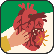 イラスト：心疾患と心臓周囲脂肪