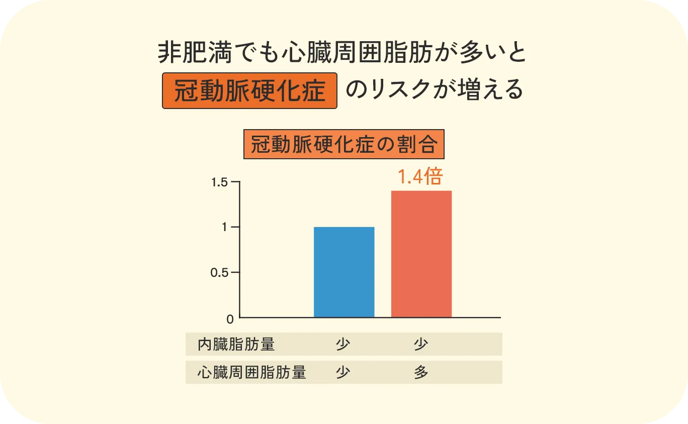 心臓周囲脂肪と冠動脈硬化症リスクの関係を示すグラフ：内臓脂肪量が同じでも心臓周囲脂肪が多いと冠動脈硬化症のリスクが1.4倍に増加することを示すデータ