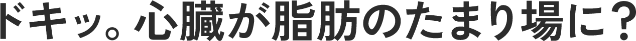 ドキッ。心臓が脂肪のたまり場に？