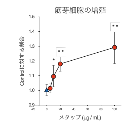 メタップ®の筋肉量増加作用の検討①（メカニズム編）