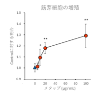 メタップ®の筋肉量増加作用の検討①（メカニズム編）
