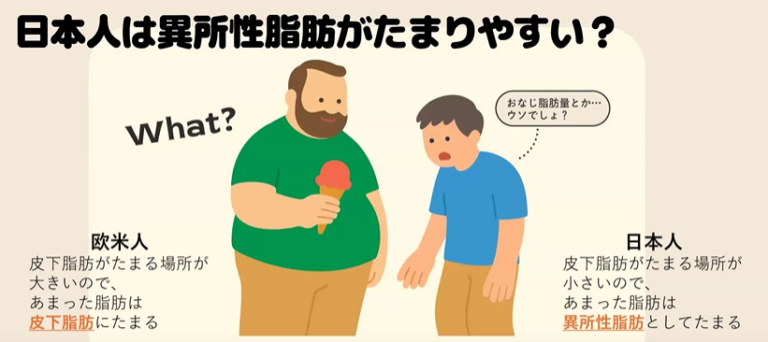 異所性脂肪とは？簡単解説vol.2