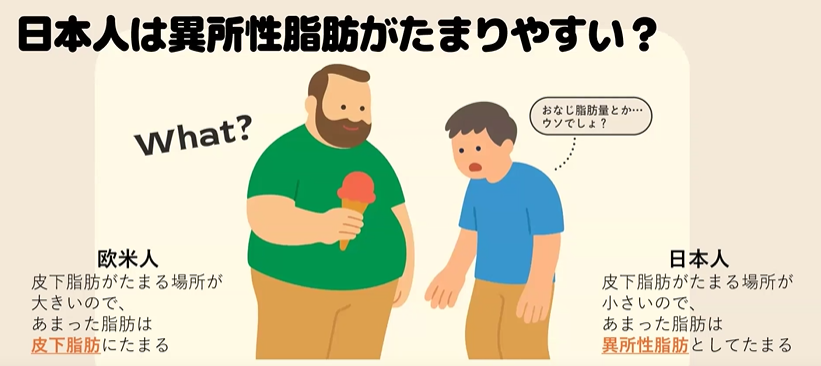 異所性脂肪とは？簡単解説vol.2