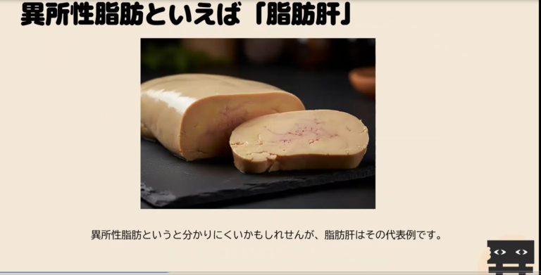 異所性脂肪とは？簡単解説vol.3