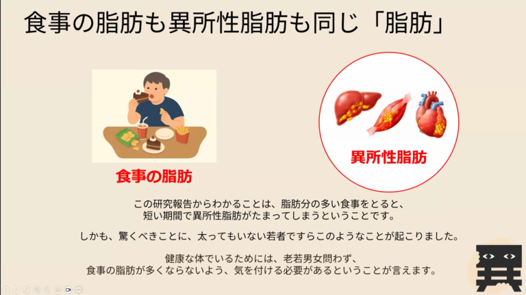 異所性脂肪とは？簡単解説vol.4
