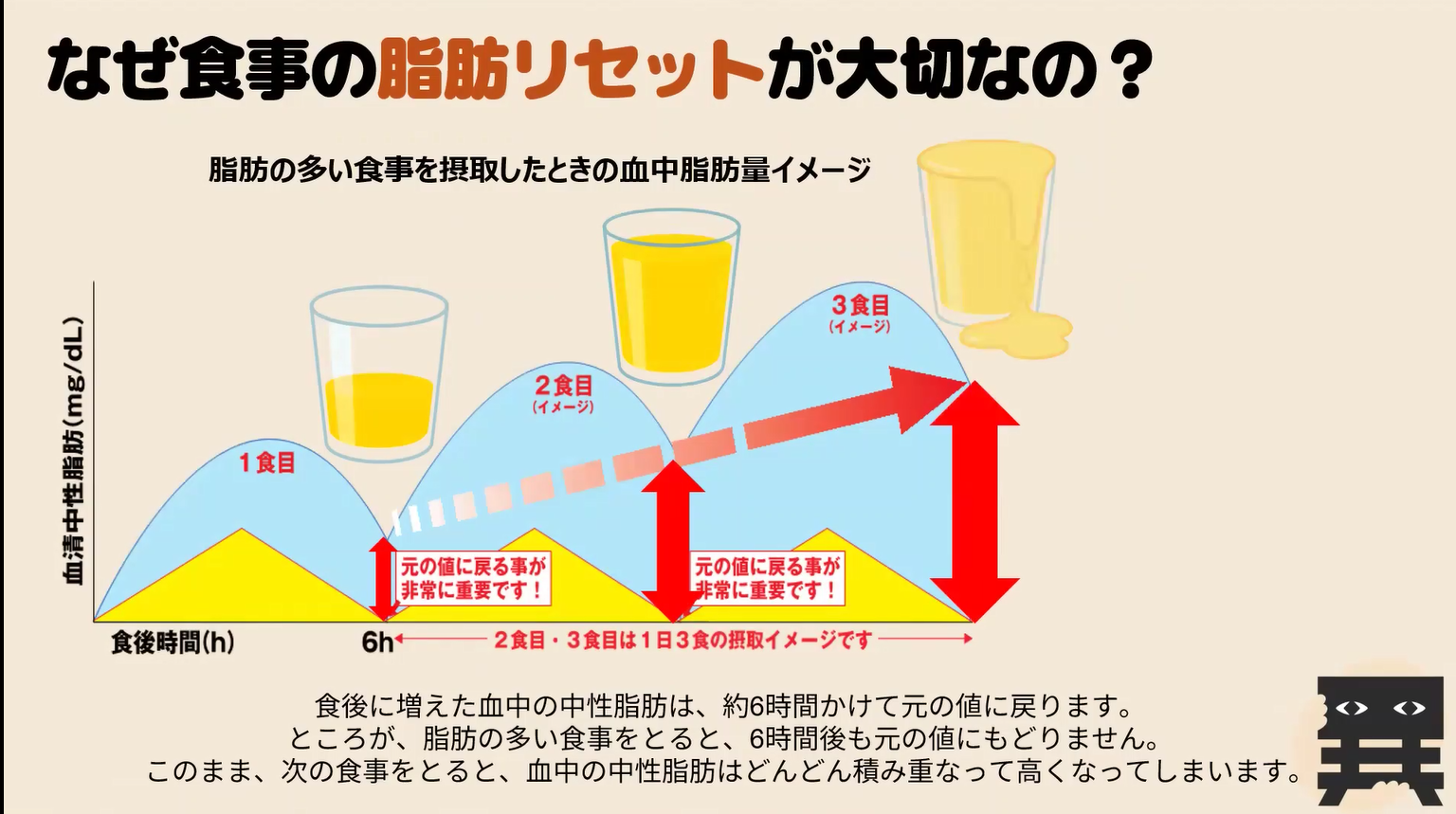 異所性脂肪とは？簡単解説vol.5